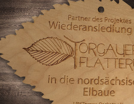 Holzurkunde Flatterulme